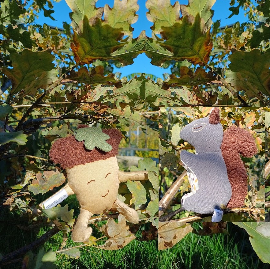 20251017_151335 - Copy